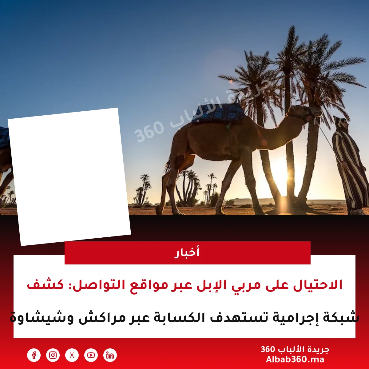 الاحتيال على مربي الإبل عبر مواقع التواصل: كشف شبكة إجرامية تستهدف الكسابة عبر مراكش وشيشاوة