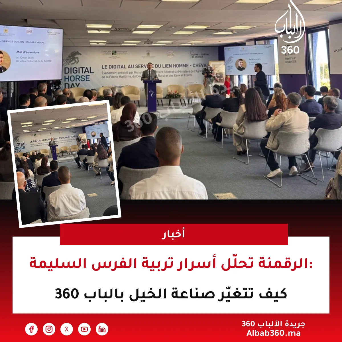 الرقمنة تحلّل أسرار تربية الفرس السليمة: كيف تتغيّر صناعة الخيل بالباب 360
