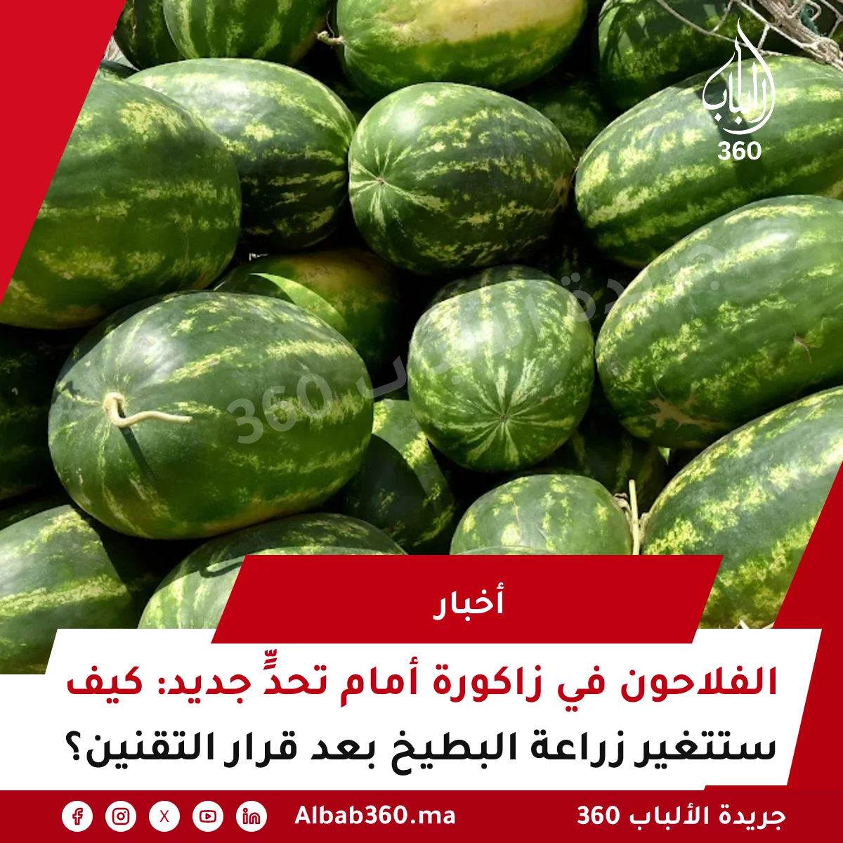 مزارعو «الدلاح» يشتكون قرارا عامليا