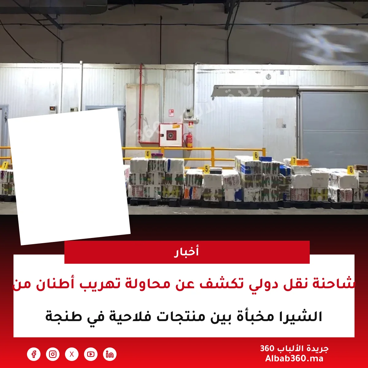 شاحنة نقل دولي تكشف عن محاولة تهريب أطنان من الشيرا مخبأة بين منتجات فلاحية في طنجة